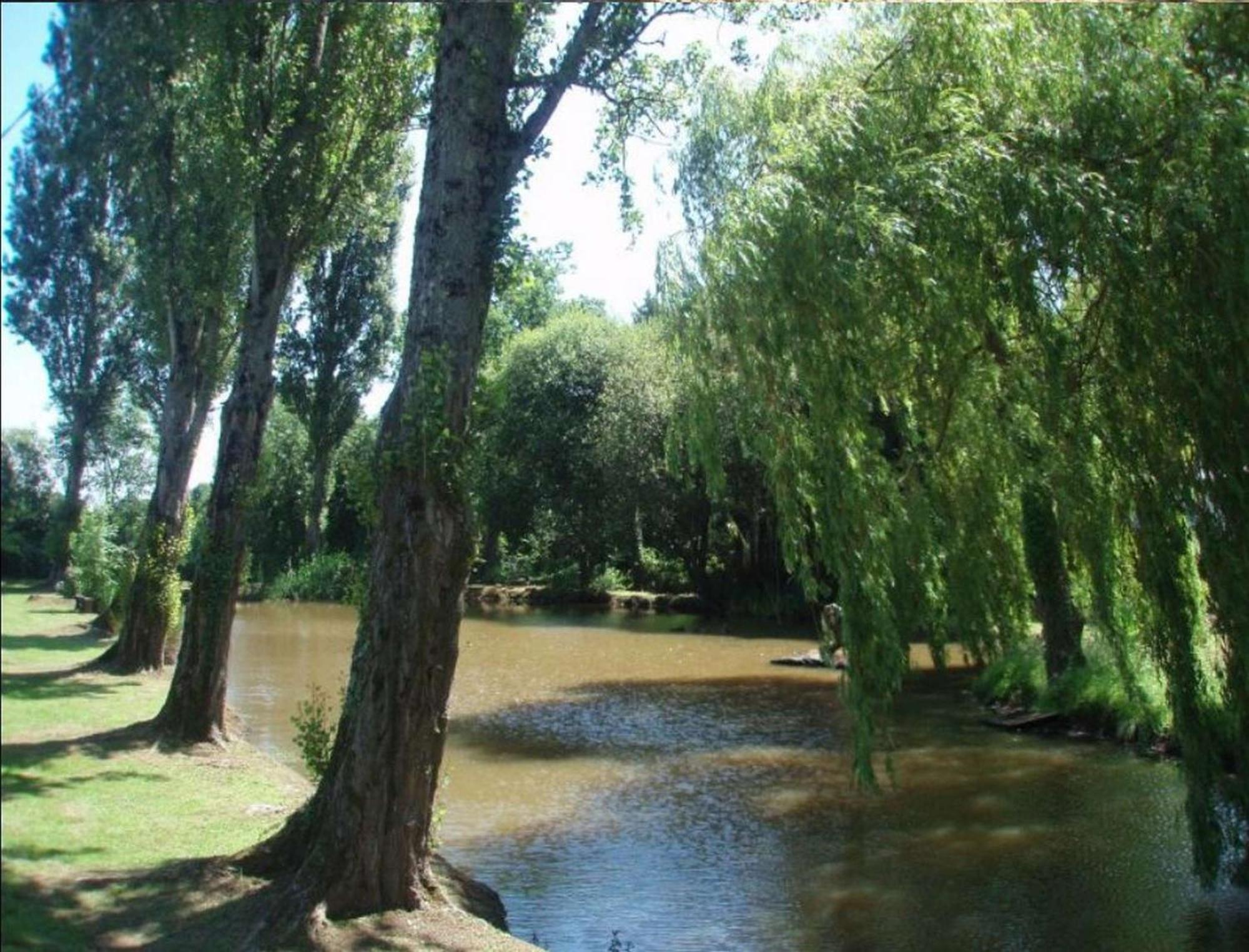 微笑布劳迪里斯露营地 Mézières-sous-Lavardin 外观 照片